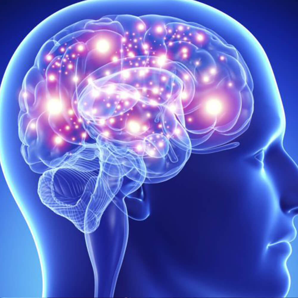 Neurologia